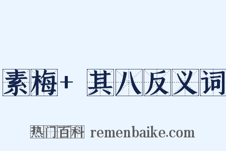 素梅+其八反义词是什么意思的图片
